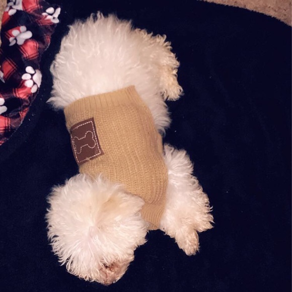 Meet your Posher, Michell - Picture 1 of 1